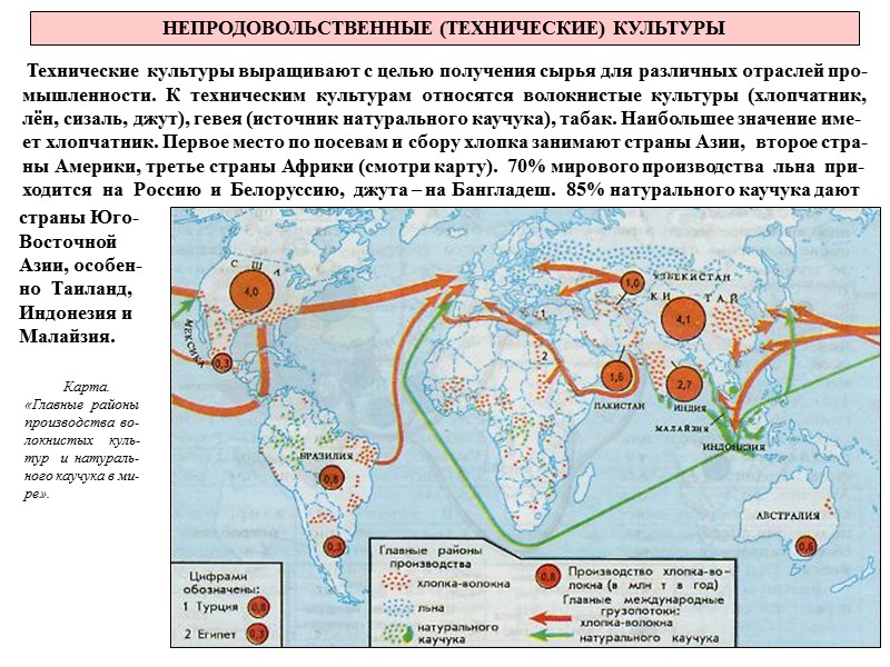 НЕПРОДОВОЛЬСТВЕННЫЕ (ТЕХНИЧЕСКИЕ) КУЛЬТУРЫ  Технические культуры выращивают с целью получения сырья для различных отраслей